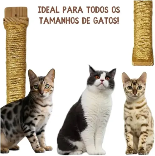 Arranhador para gatinhos