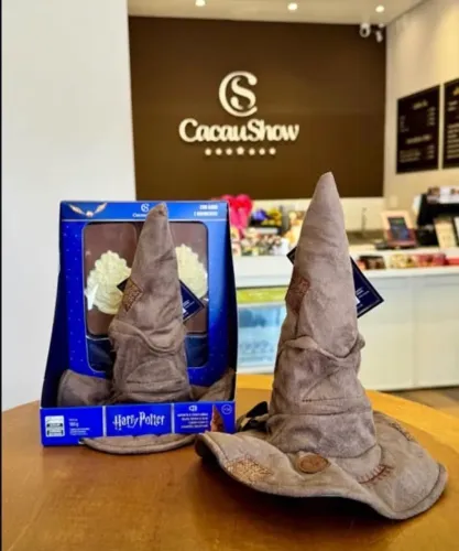 Chapéu seletor Harry Potter