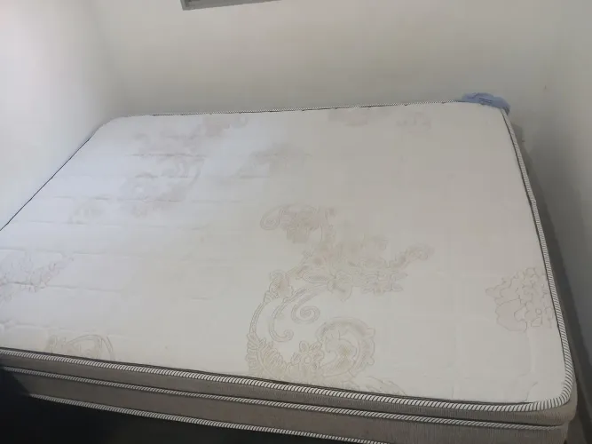 Cama