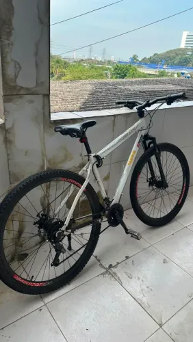 Baik aro 29