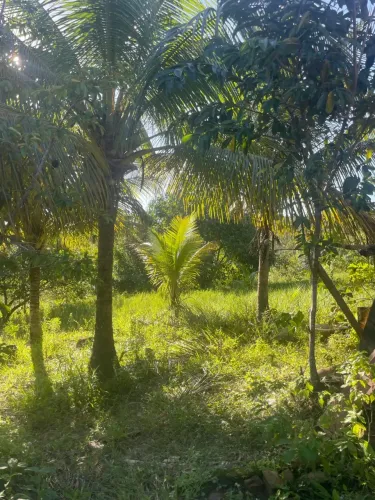 sitio a venda