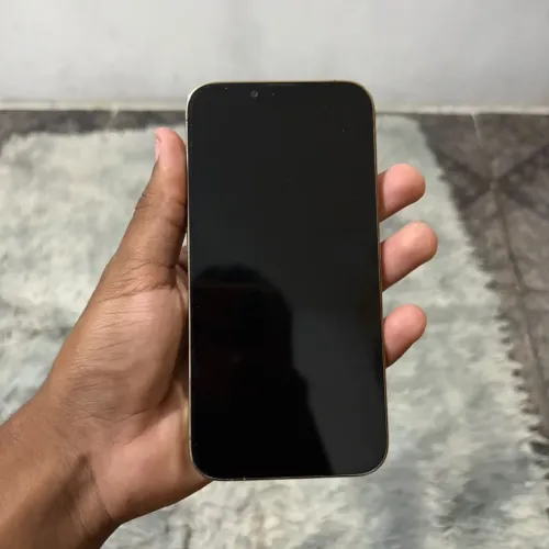 iPhone 13 Pro