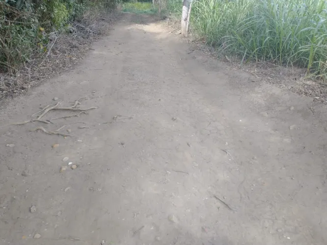 Vende-se Terreno 3.000m2