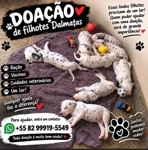 Doação