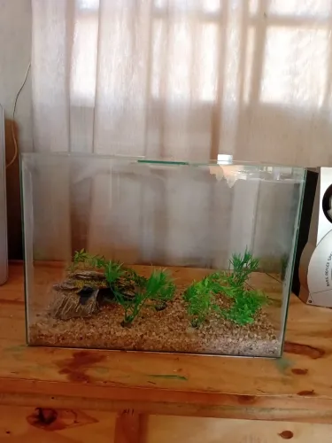 Aquario de 38 litros com enfeite