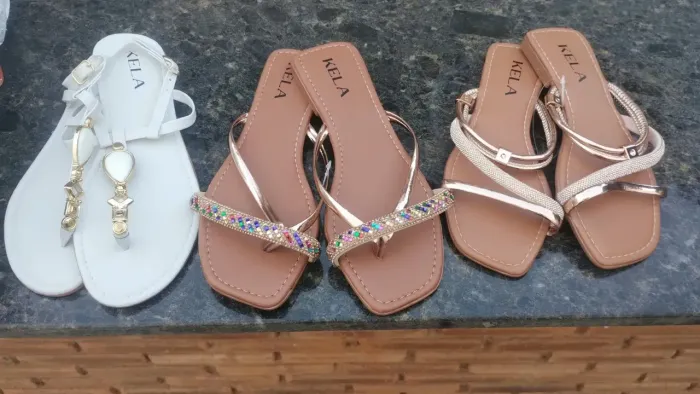 Rasteirinhas novas