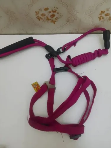 Coleira com peitoral para seu pet