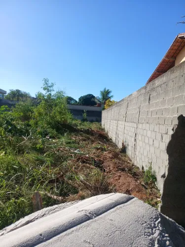 Limpeza de lotes 