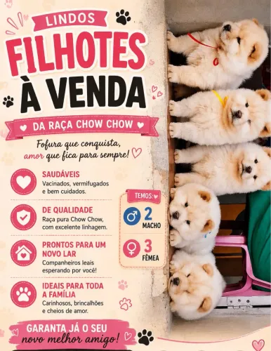 Dogs a venda