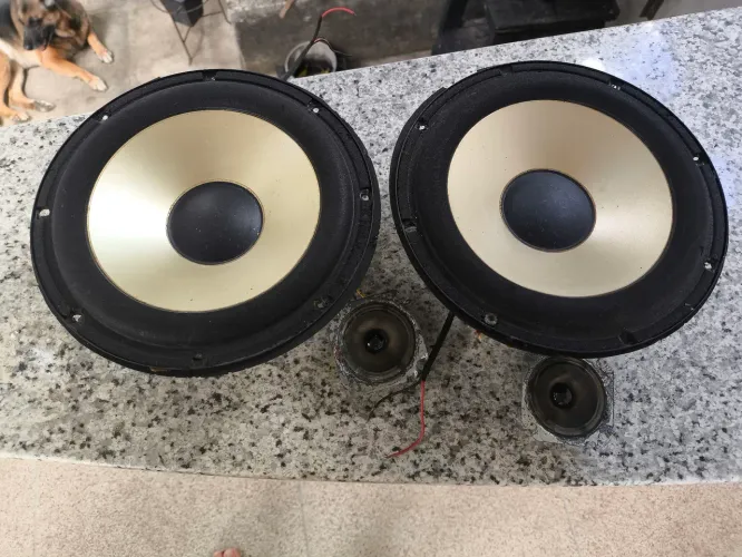 Auto falantes 10"