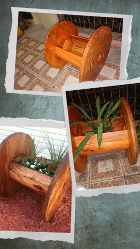 Planta / jarro