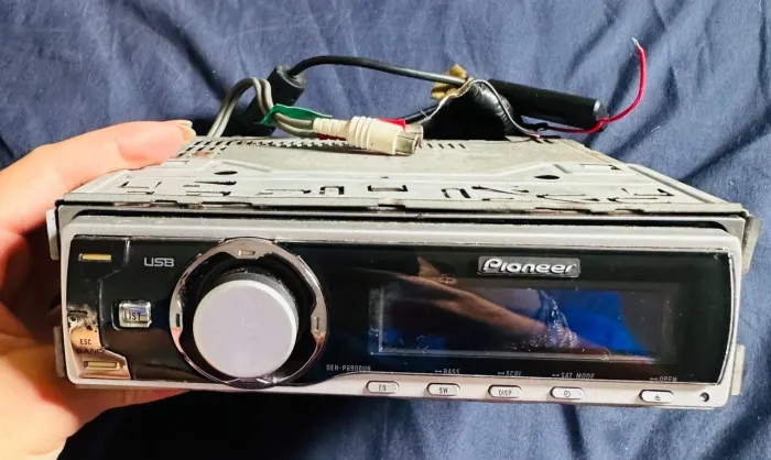 Pioneer golfinho