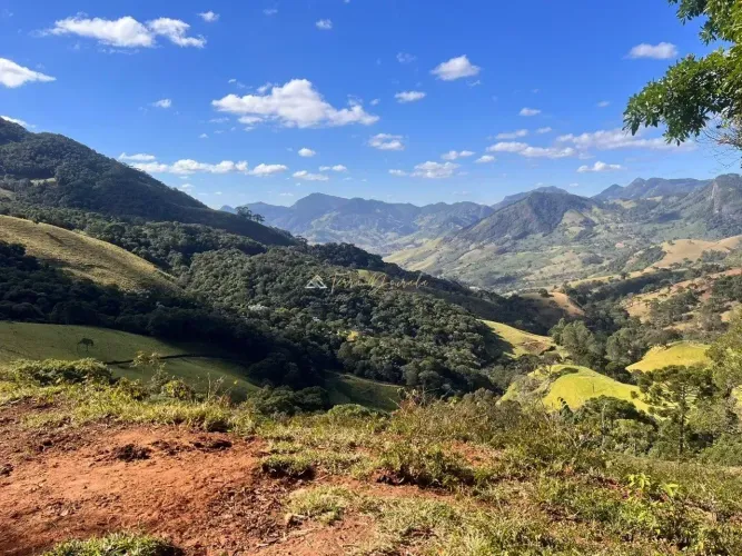 Fazenda Completa à Venda - Luminosa, Brazopólis - MG