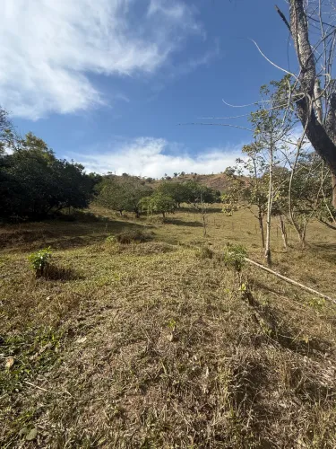 Terreno no Tribuna - Ipatinga/MG - 8.5ha