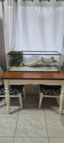 Aquaterrário grande