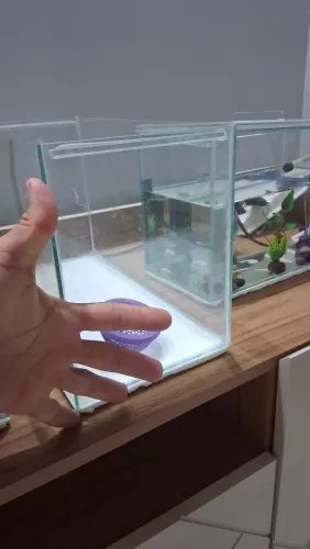 Aquário 17 litros
