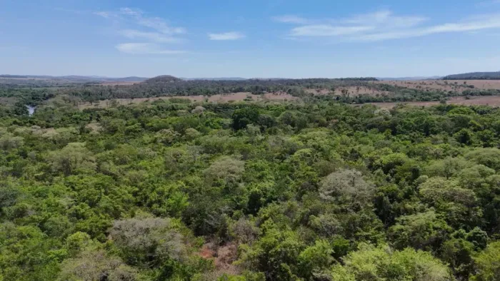 Fazenda à Venda - Fazenda Baixa Verde