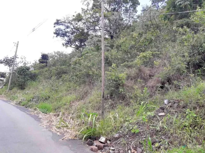 Lote Bairro - Comiteco