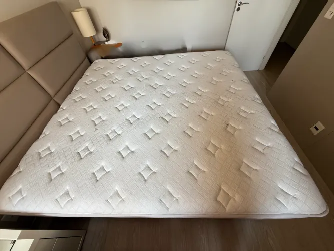 Cama Orthocrin king