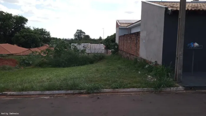 Terreno para Venda em Alfredo Marcondes, Loteamento Mirassol