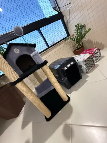 (COMBO) Arranhador torre + 3 Caixas de Transporte (P,M,G)