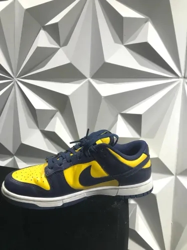 nike dunk 