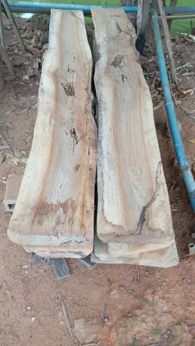 pranchas de peroba