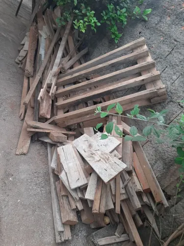 vendo madeiras P construção 