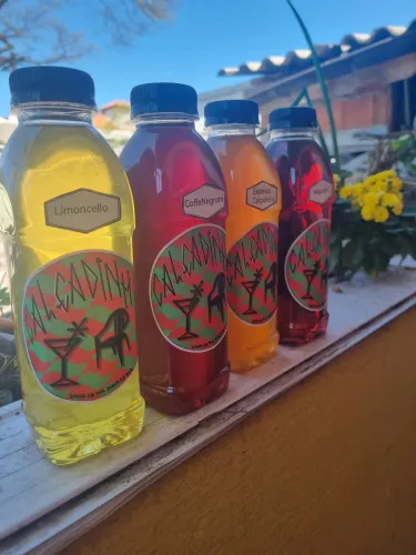 DRINKS PRONTOS ENGARRAFADOS E SERVIÇO DE BAR EM CASA