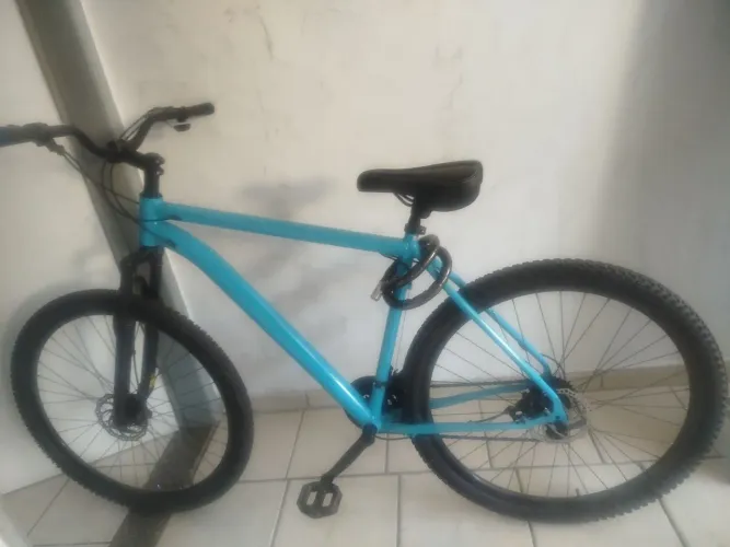 Bicicleta 29