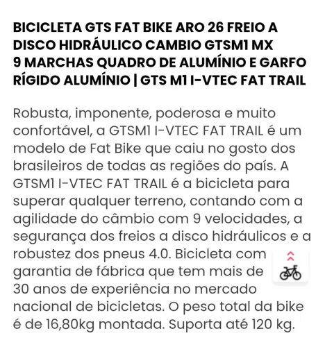 Bikes fat