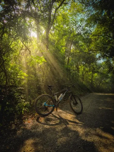 Bicicleta Oggi 7.6 tamanho 19
