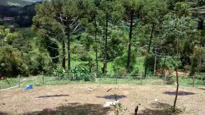 Chácara com 3.000 m2 em Delfim Moreira, MG. Aceito carros na troca!