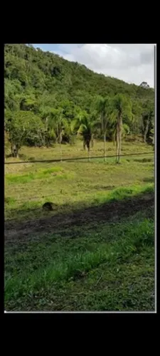 Área com 19.270m² em Balneário Camboriú!