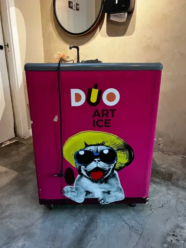 Geladeira fricon adesivada  DUO ART 220 V 