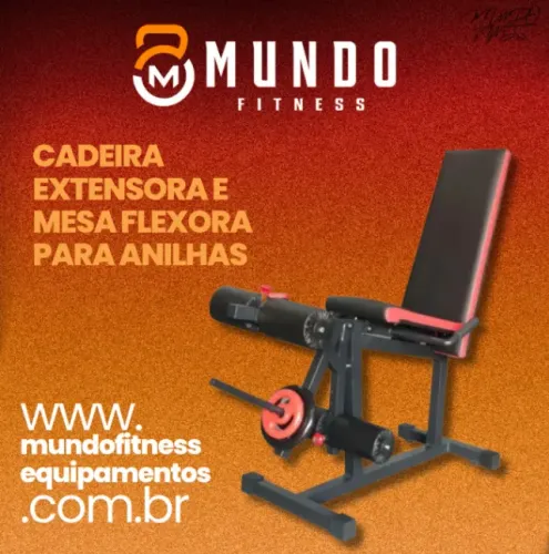 Cadeira Flexora Extensora para Anilhas