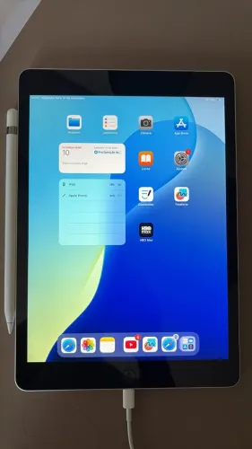 iPad 9 (1º geração)
