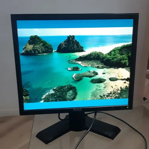 Monitor DELL P190st 19 Polegadas Widescreen Preto - Usado - 127/220Vac