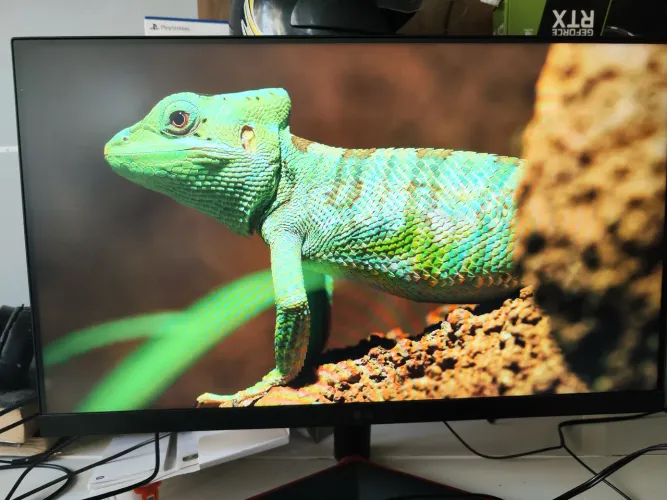 Monitor Gamer LG UltraGear 24", FHD, 144hz, 1ms