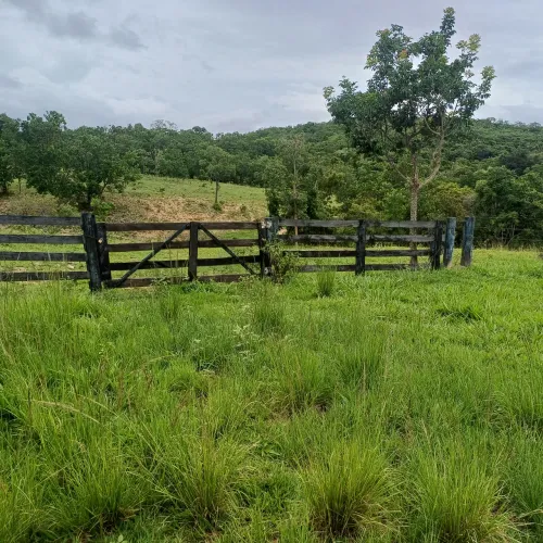 Fazenda na Cidade de Goiás, 11 km da cidade.