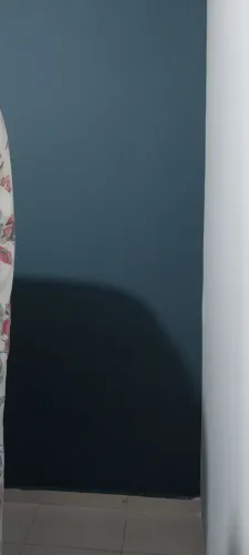 Sou pintor profissional 