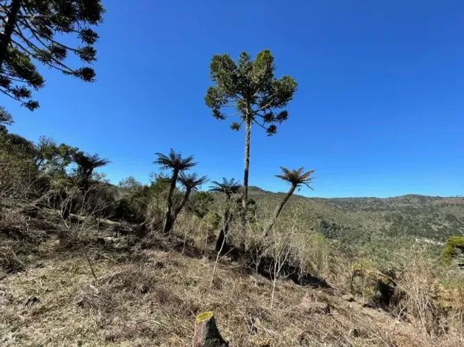 2 Hectares no Morro da Igreja | Urubici - SC
