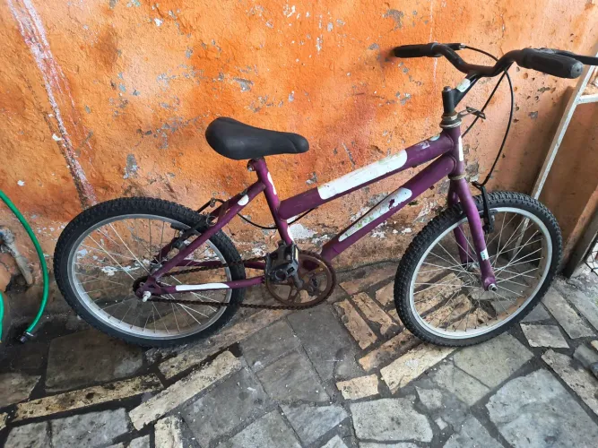 Bicicleta Aro 20 Roxa