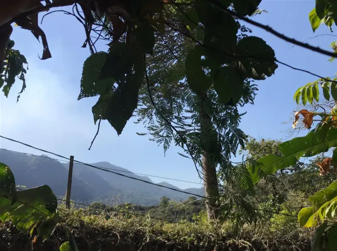 Terreno - ALTO DA BOA VISTA
