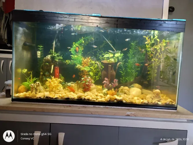 Aquário 120 litros completo, substratos, bomba dupla e filtro