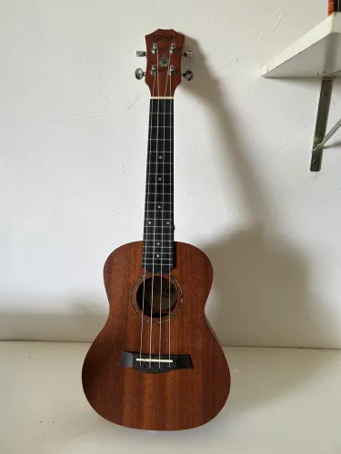 Ukulele seize 