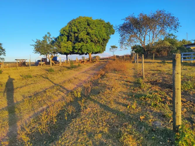 Fazenda dupla aptidão Coromandel 