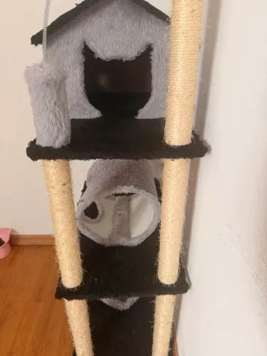 Casinha para gato