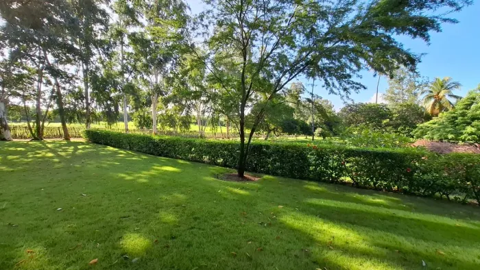 ? Fazenda de Alto Padrão | 18,42 ha | Casa Sede, Chalé, Piscina e 24 Baias | BR-230