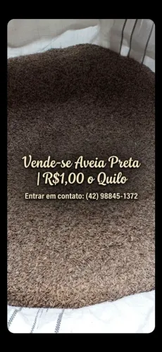 Aveia Preta 